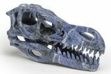 Carved Sodalite Dinosaur Skull #218483-4
